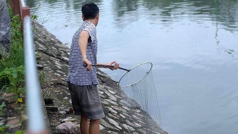 Điềm báo tốt hay xấu cho giấc mơ thấy ăn trộm cá Điềm báo tốt hay xấu cho giấc mơ thấy ăn trộm cá