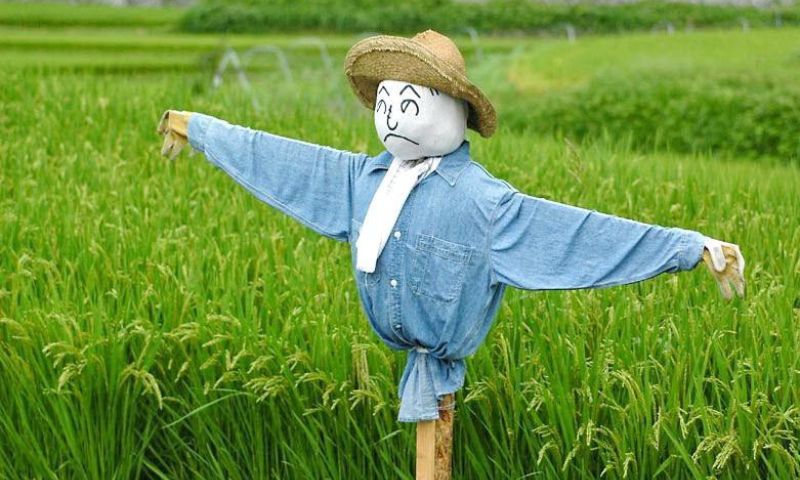 Mơ thấy bù nhìn Mơ thấy bù nhìn