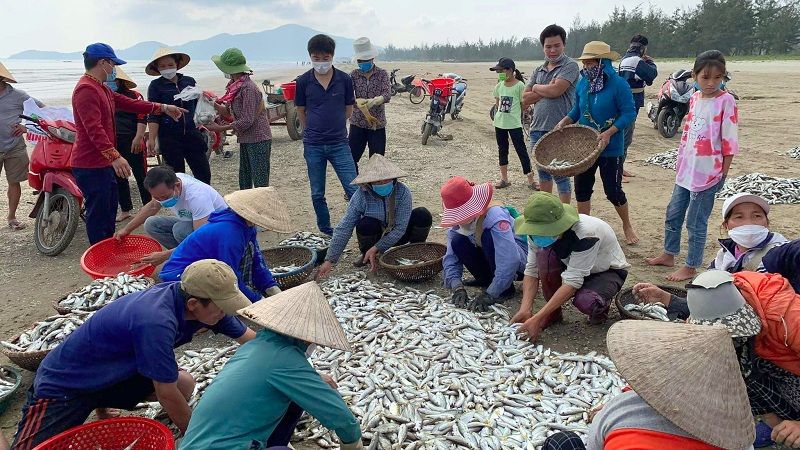 Ý Nghĩa Chiêm Bao Thấy Bãi Cá Ý Nghĩa Chiêm Bao Thấy Bãi Cá